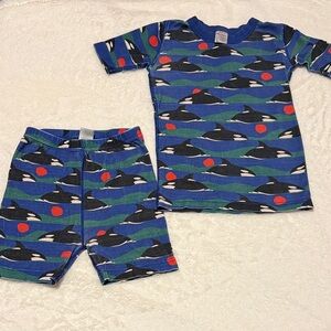 Hanna Andersson Blue and Green Kids Pajamas